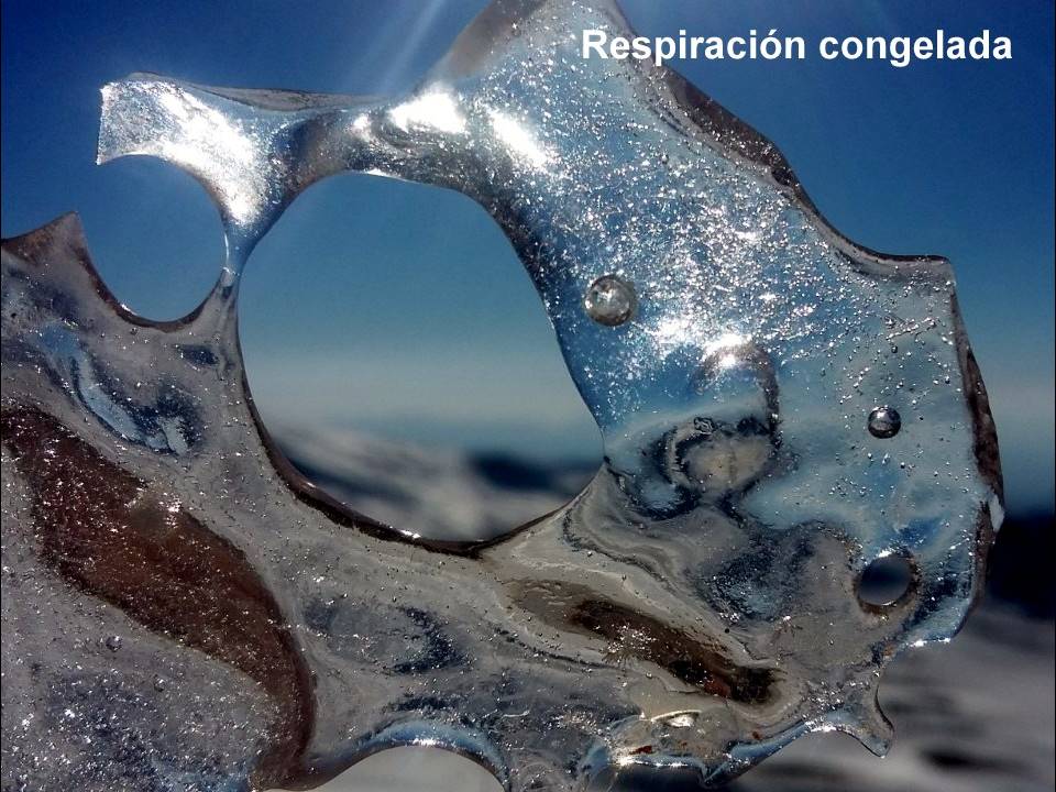 Foto Ciencia 2017 Respiracion Congelada
